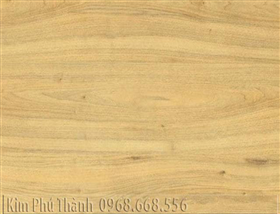 Sàn gỗ Thaixin 1031